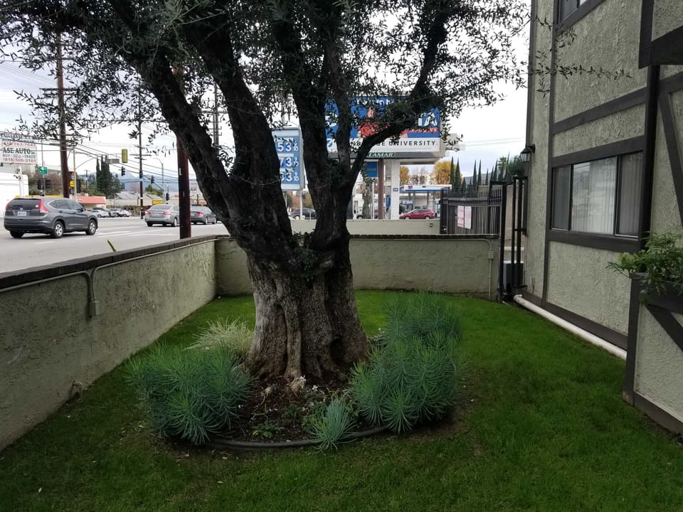 10128 Moorpark Street Unit 218