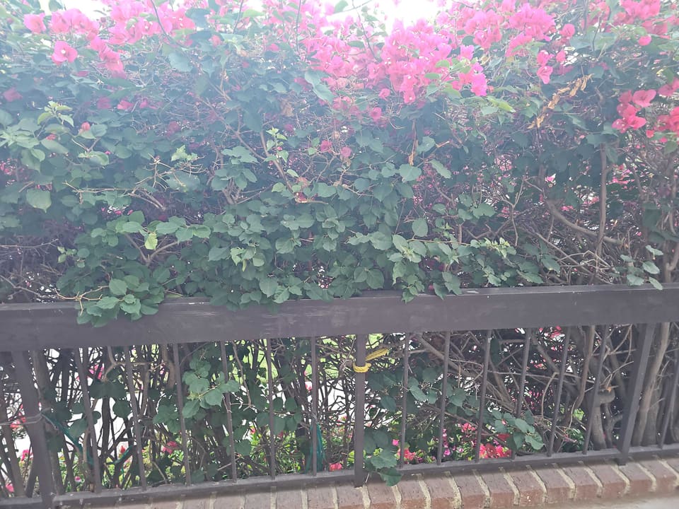11835 Magnolia Boulevard Unit 108