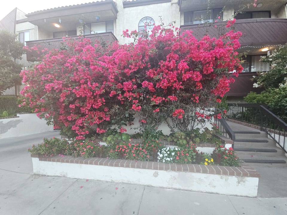 11835 Magnolia Boulevard Unit 108