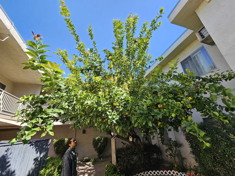 11839 Magnolia Boulevard Unit 26