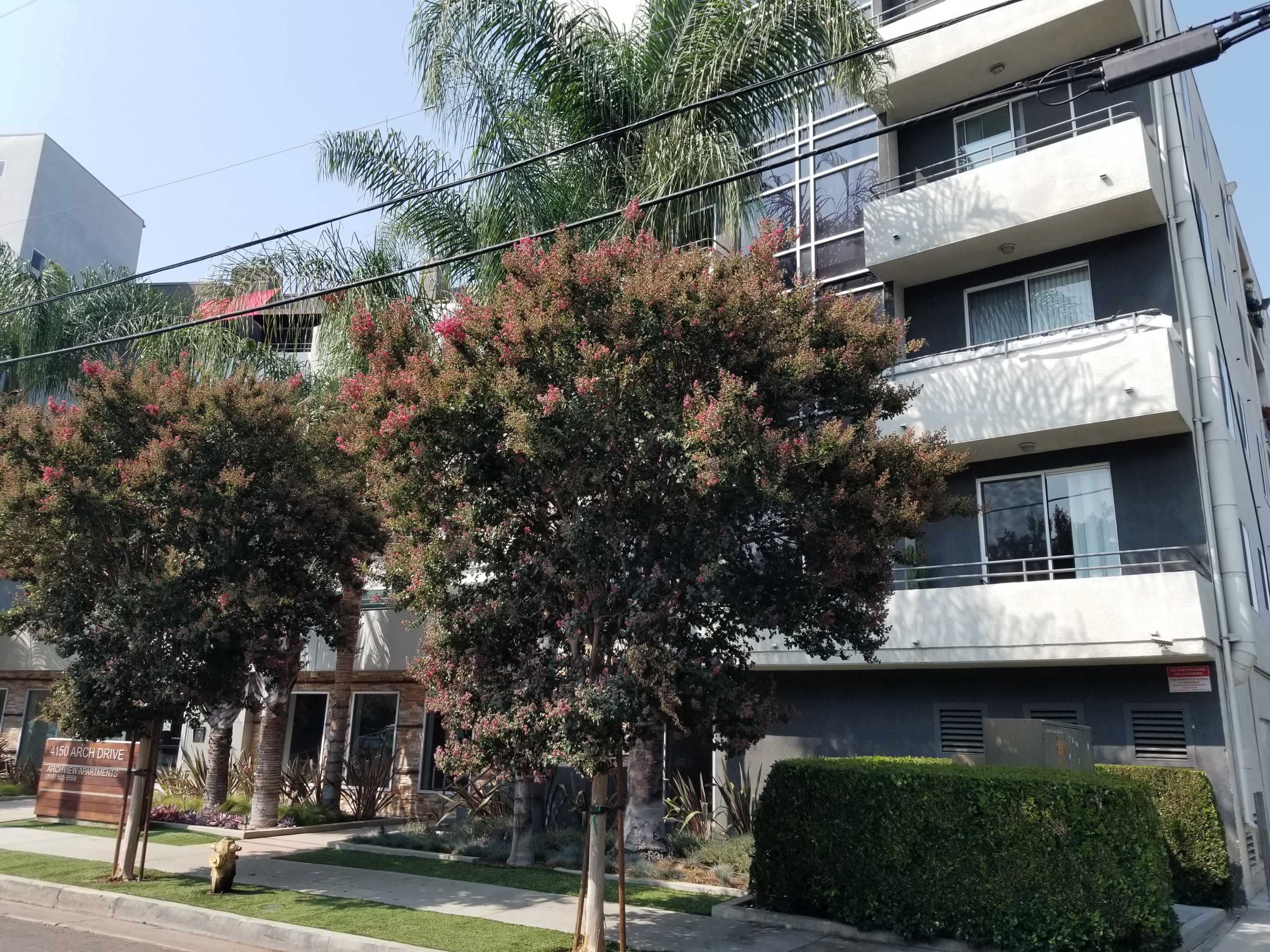 4170 Arch Drive Unit 223