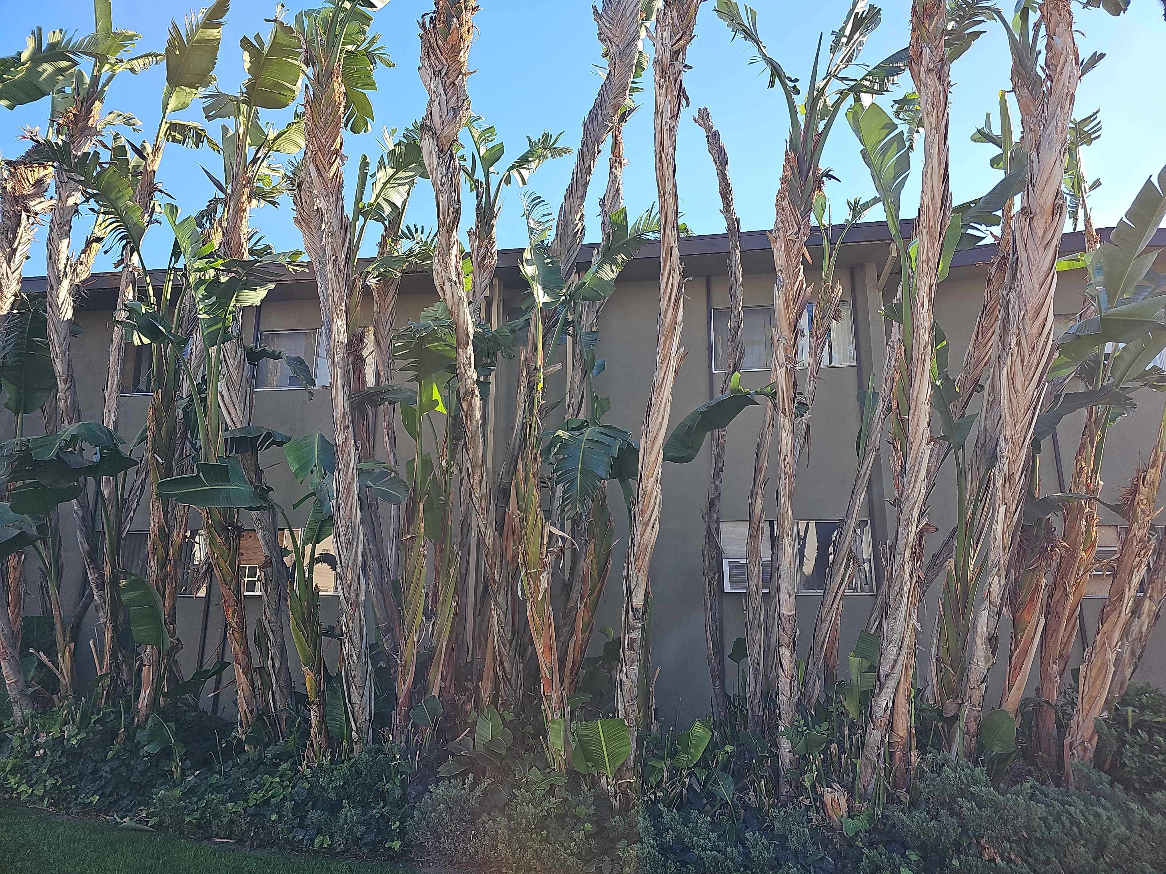 18410 Malden Street Unit 11