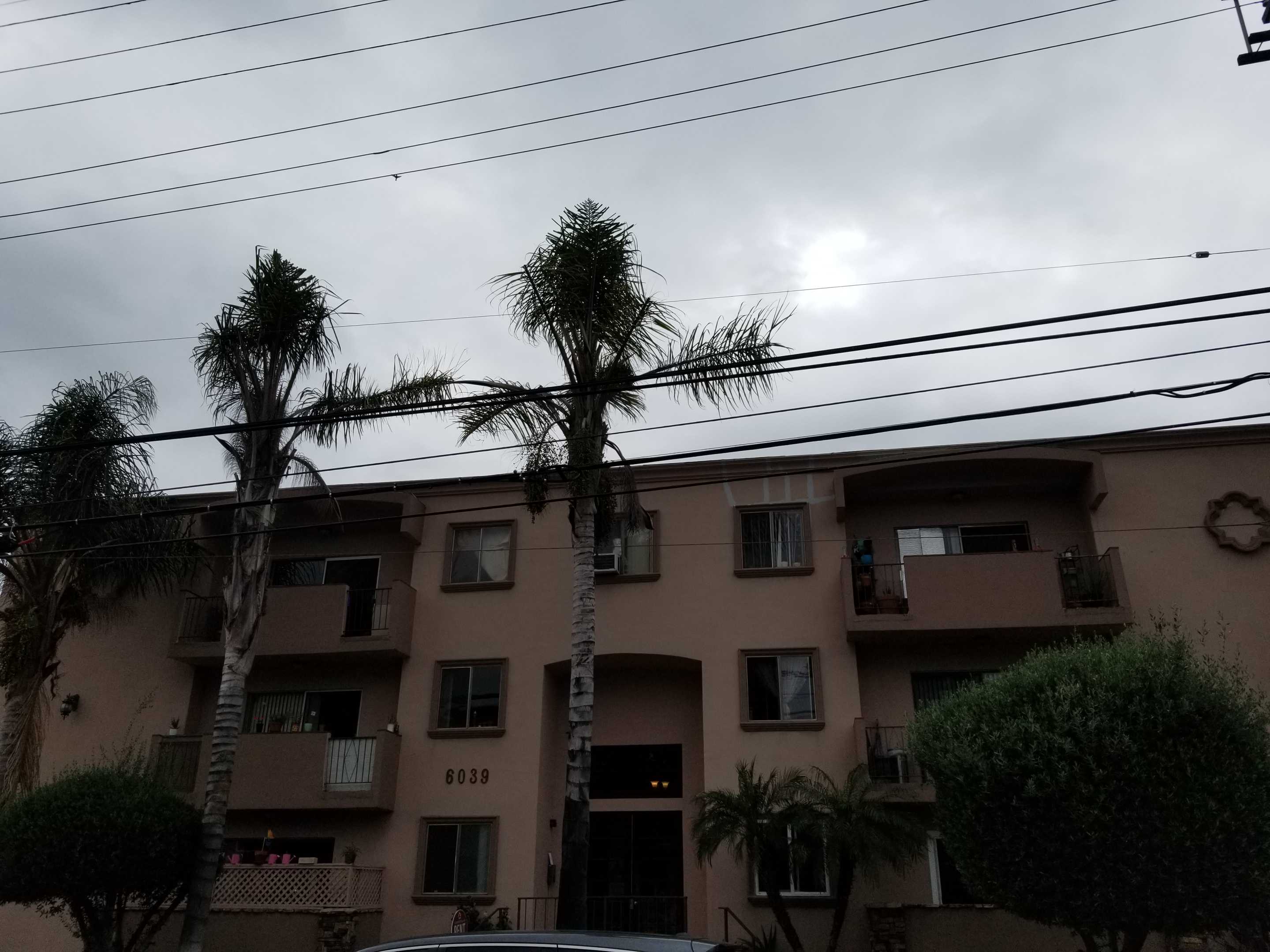 6049 Whitsett Avenue Unit 102