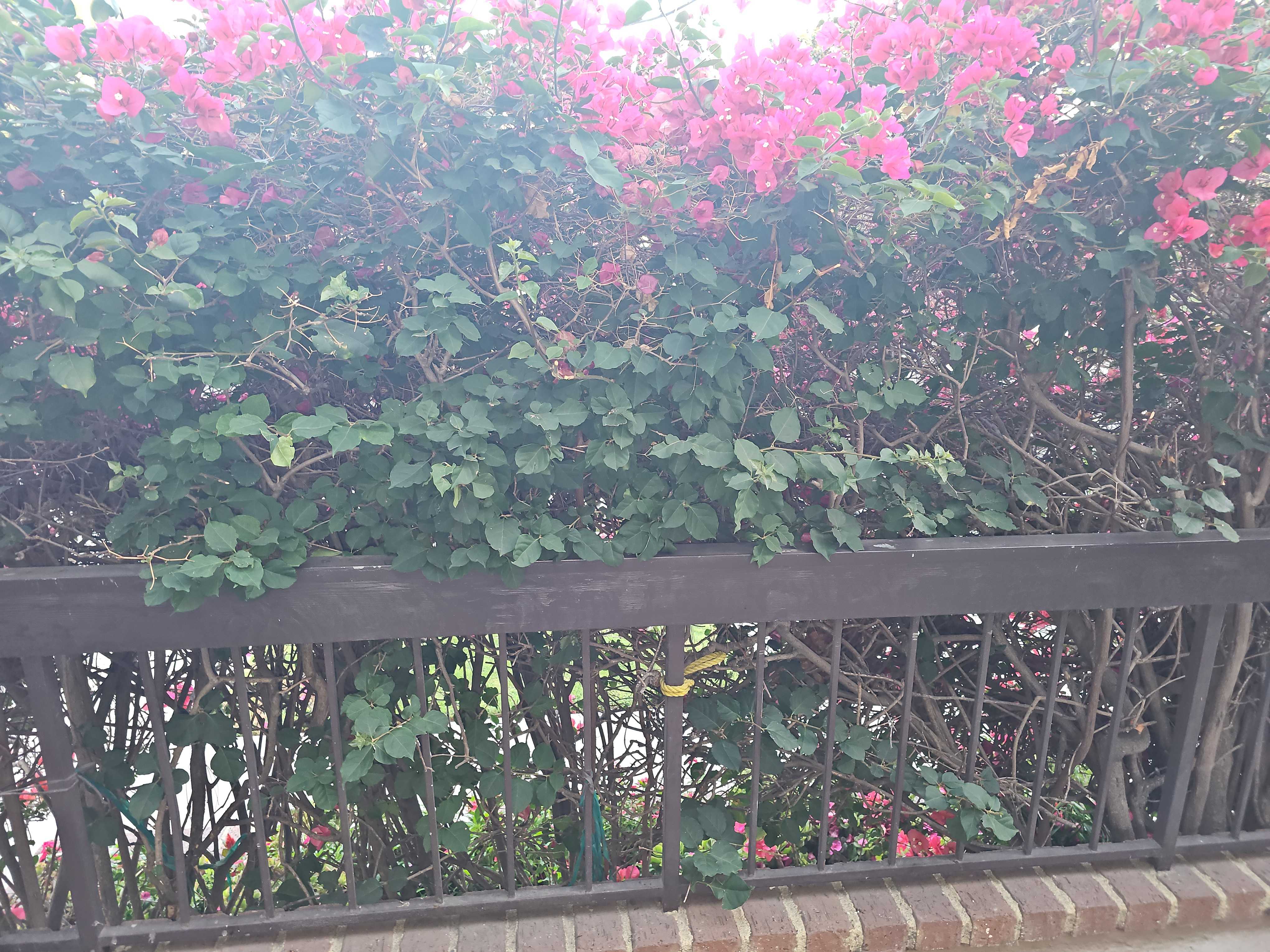 11835 Magnolia Boulevard Unit 108