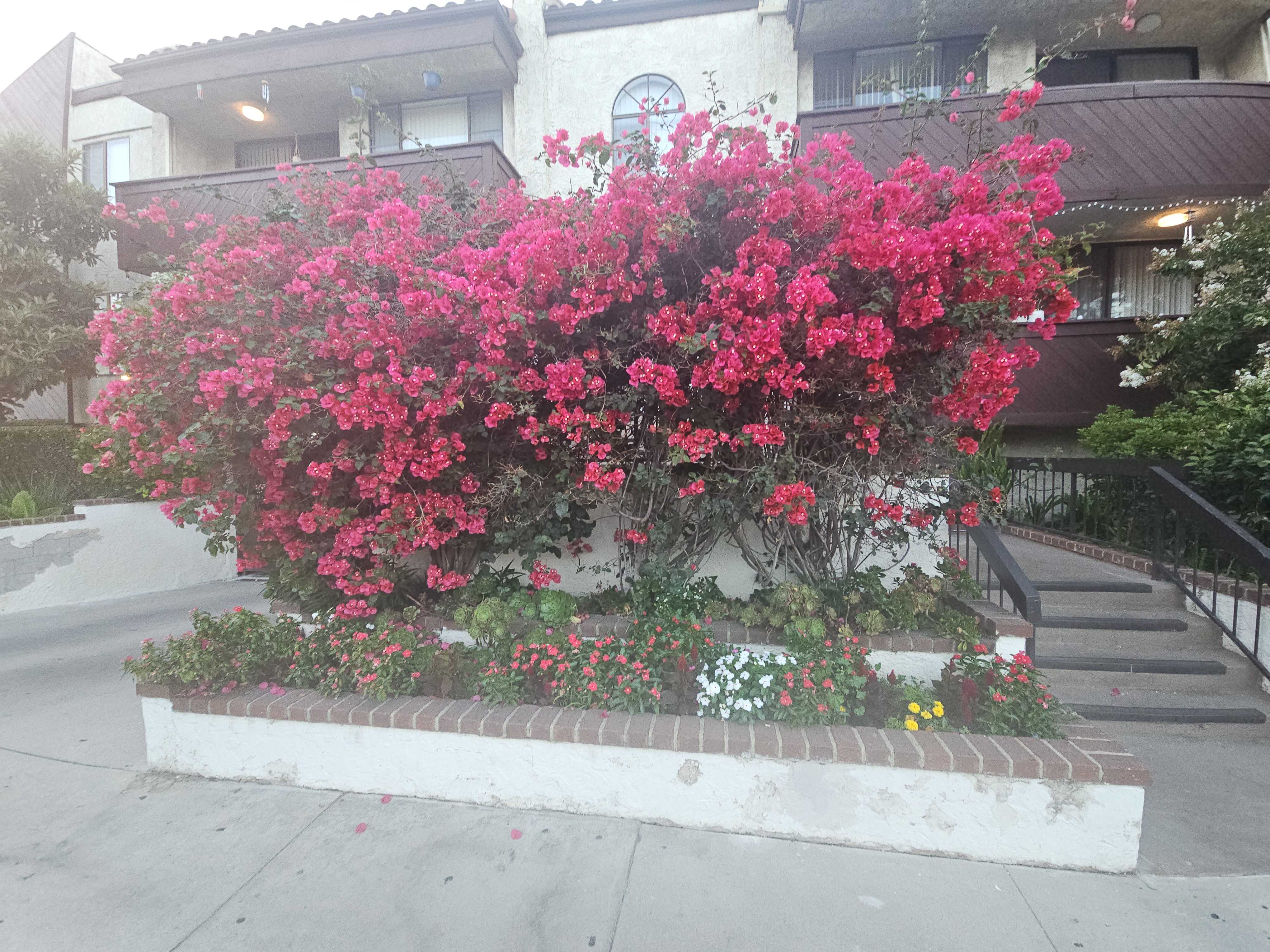 11835 Magnolia Boulevard Unit 108