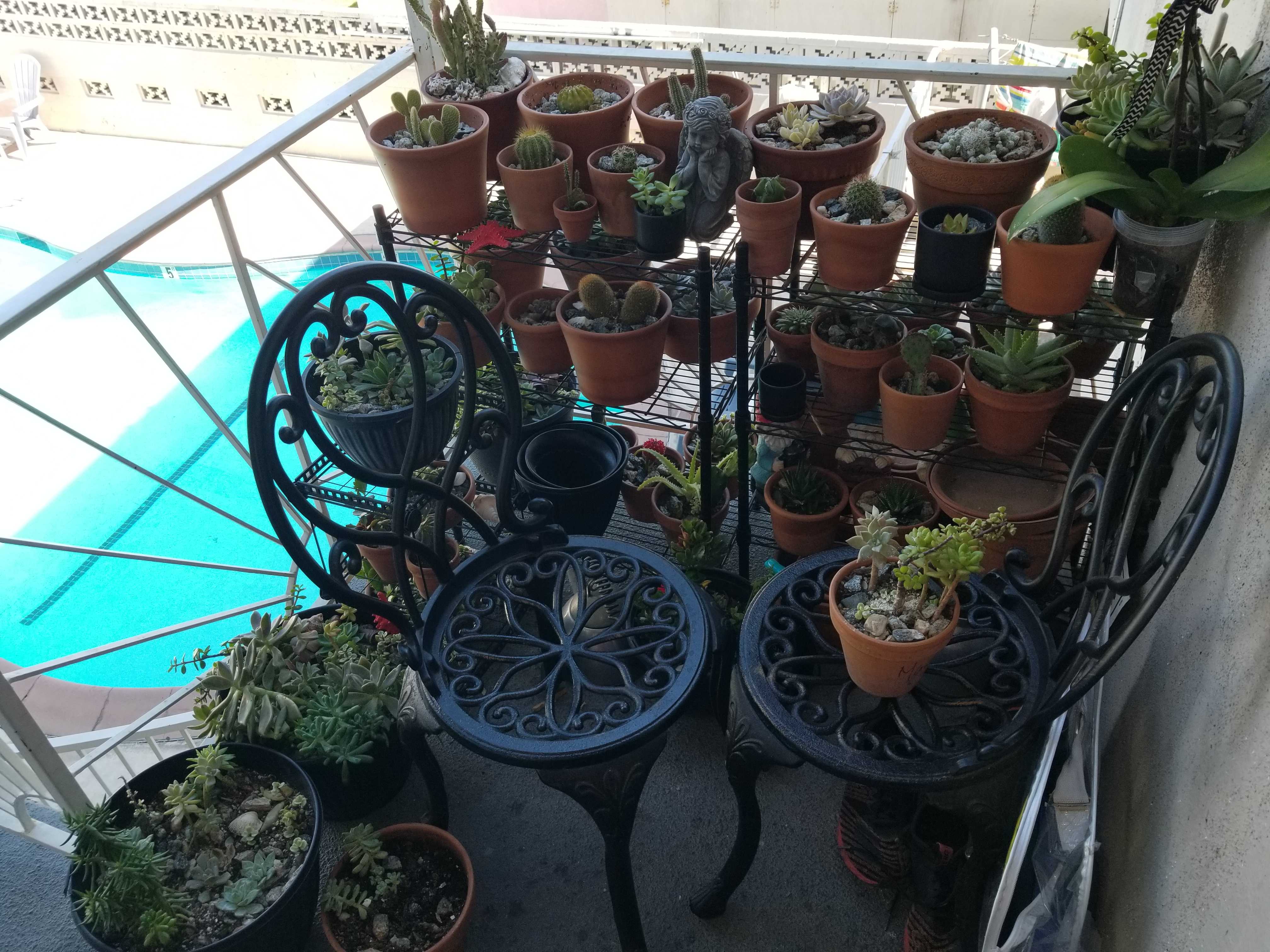 6346 Tujunga Avenue Unit 4