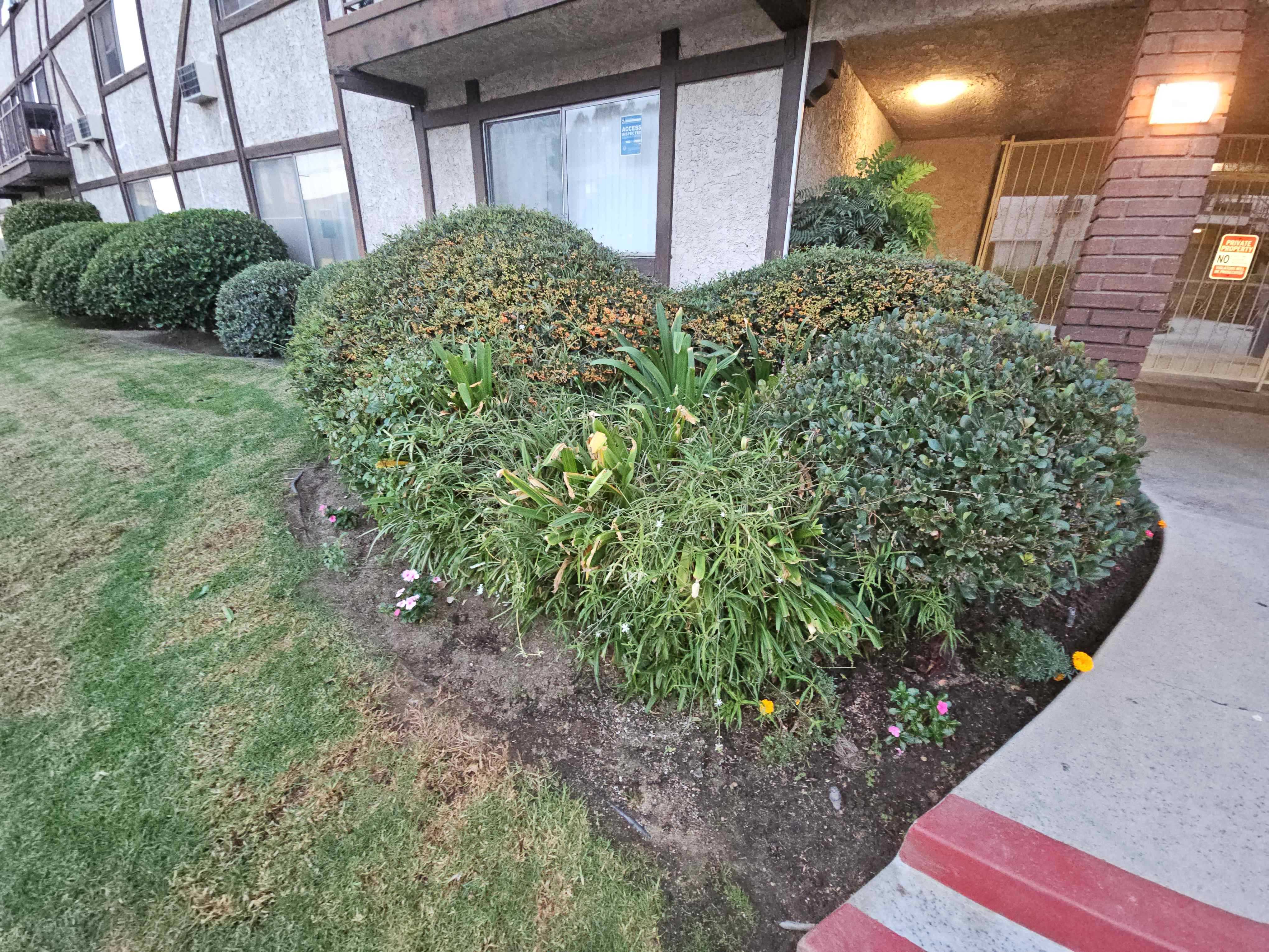 7435 Sepulveda Boulevard Unit 31