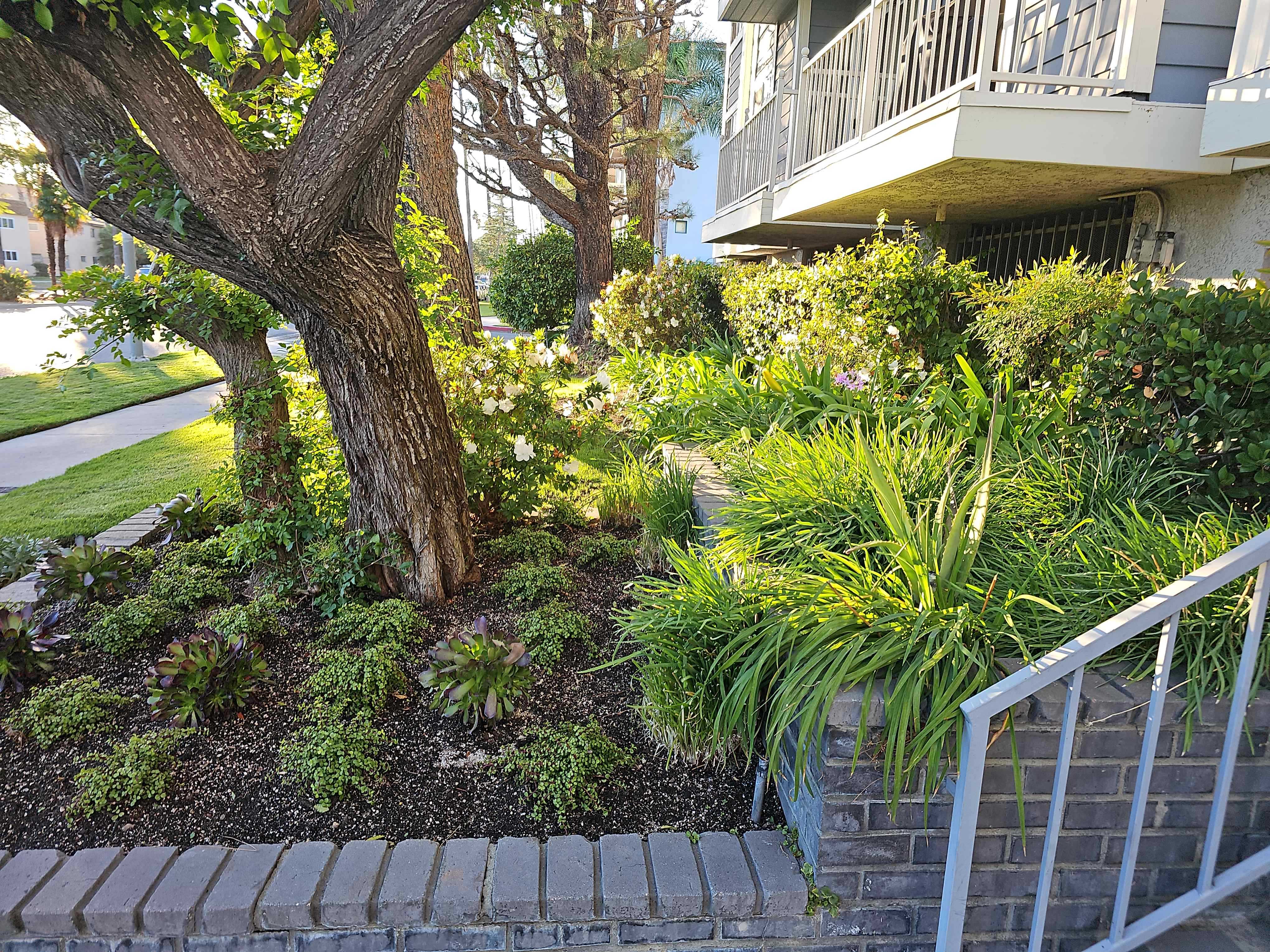 19129 Sherman Way Unit 215