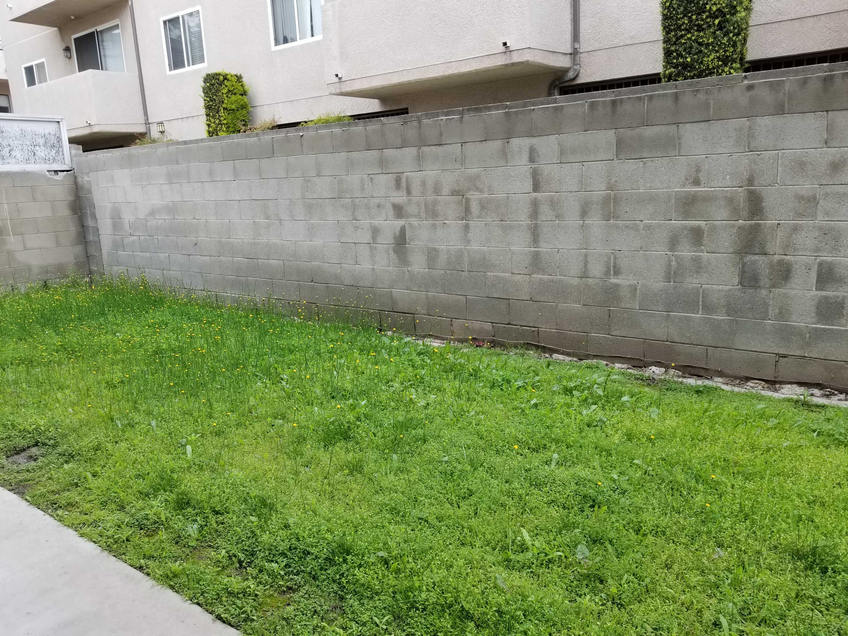 11469 Collins Street Unit 201